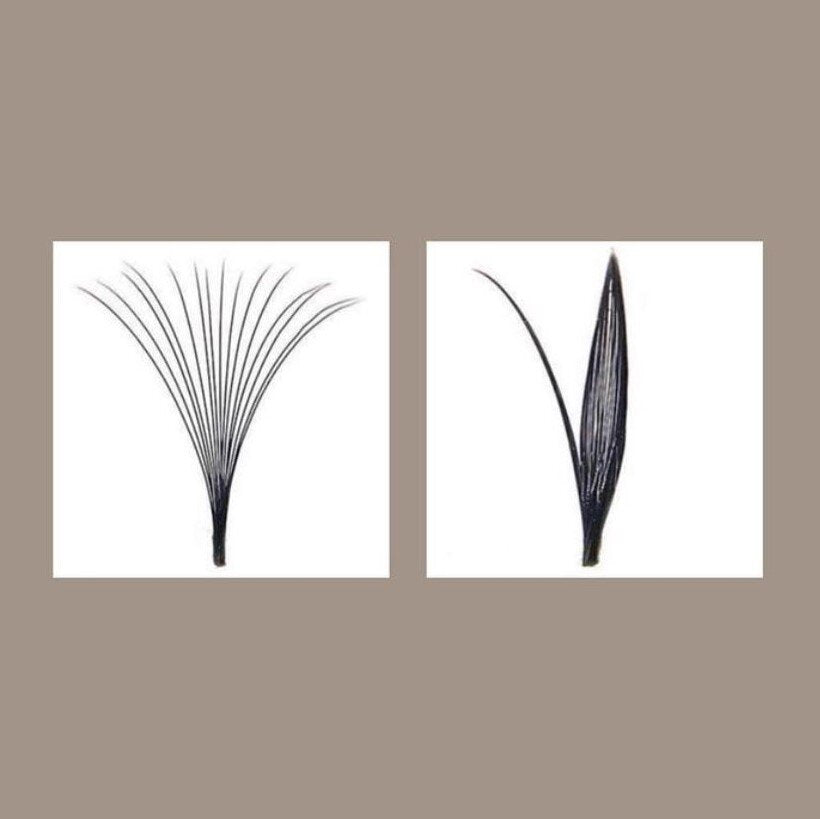 Lash Retention 101: Sprays and Mists