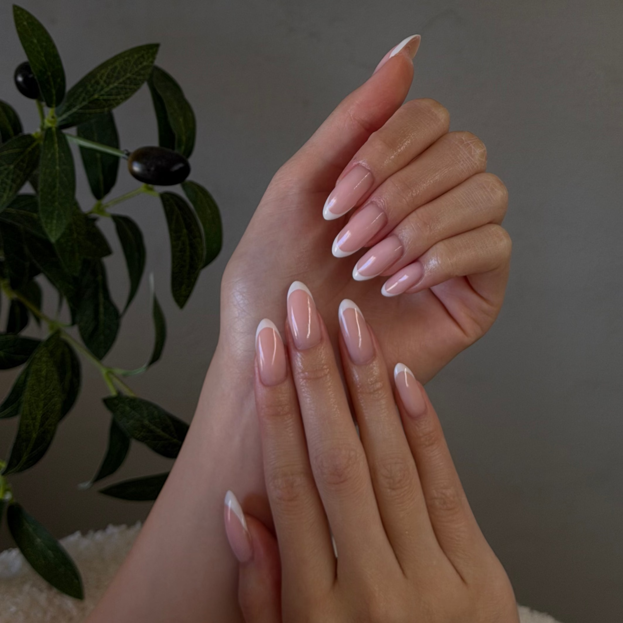 BIAB builder gel French tip nails, elegant manicure by Casa Artistry Canterbury Sydney